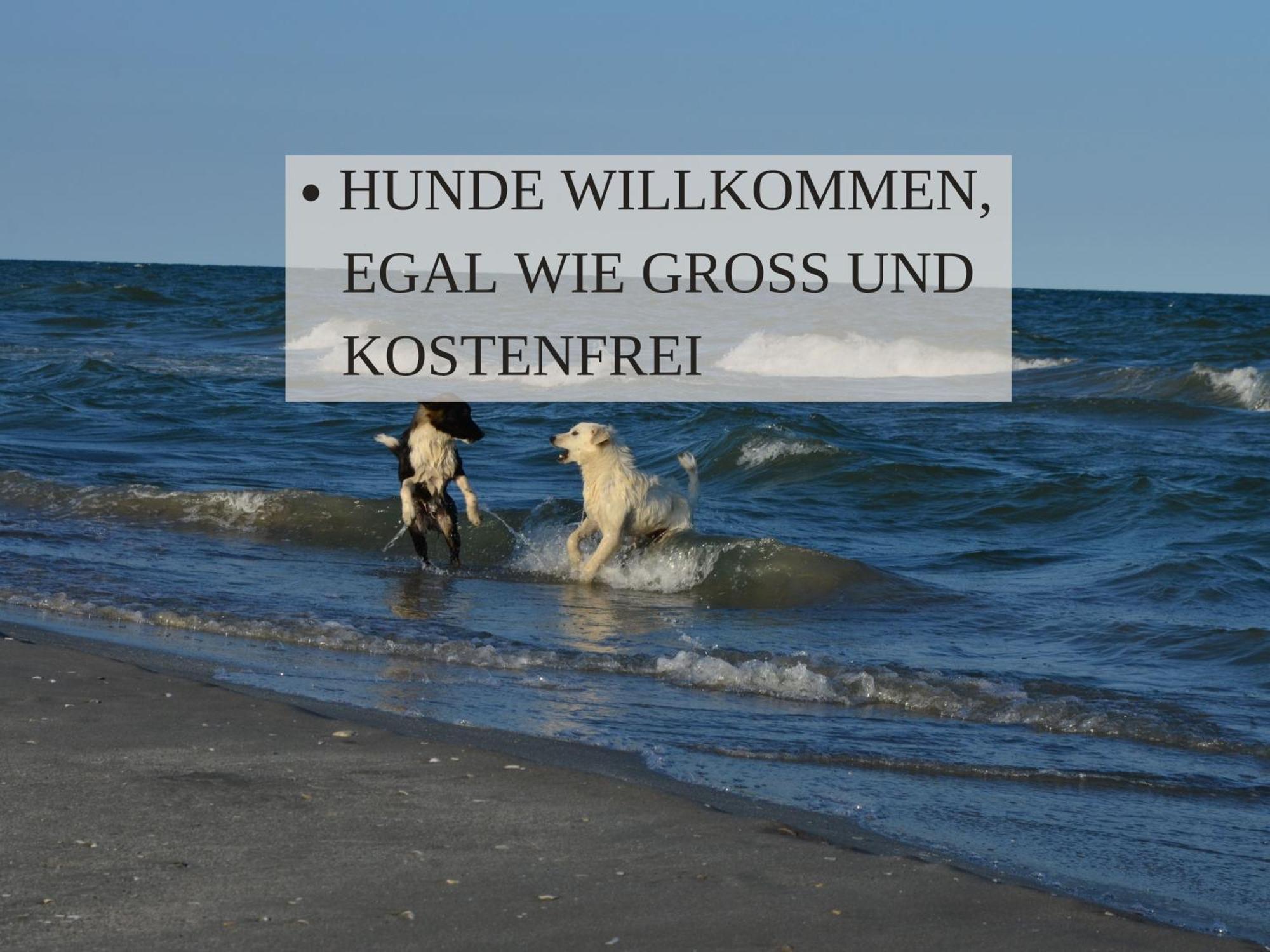 Haus Krabbe Apartments Mit Doppelbetten, Fuer 1-2 Personen, Hunde Kostenfrei Willkommen, Kostenfreier Parkplatz, Zwischen Bremerhaven Und Cuxhaven Gelegen Wremen Luaran gambar
